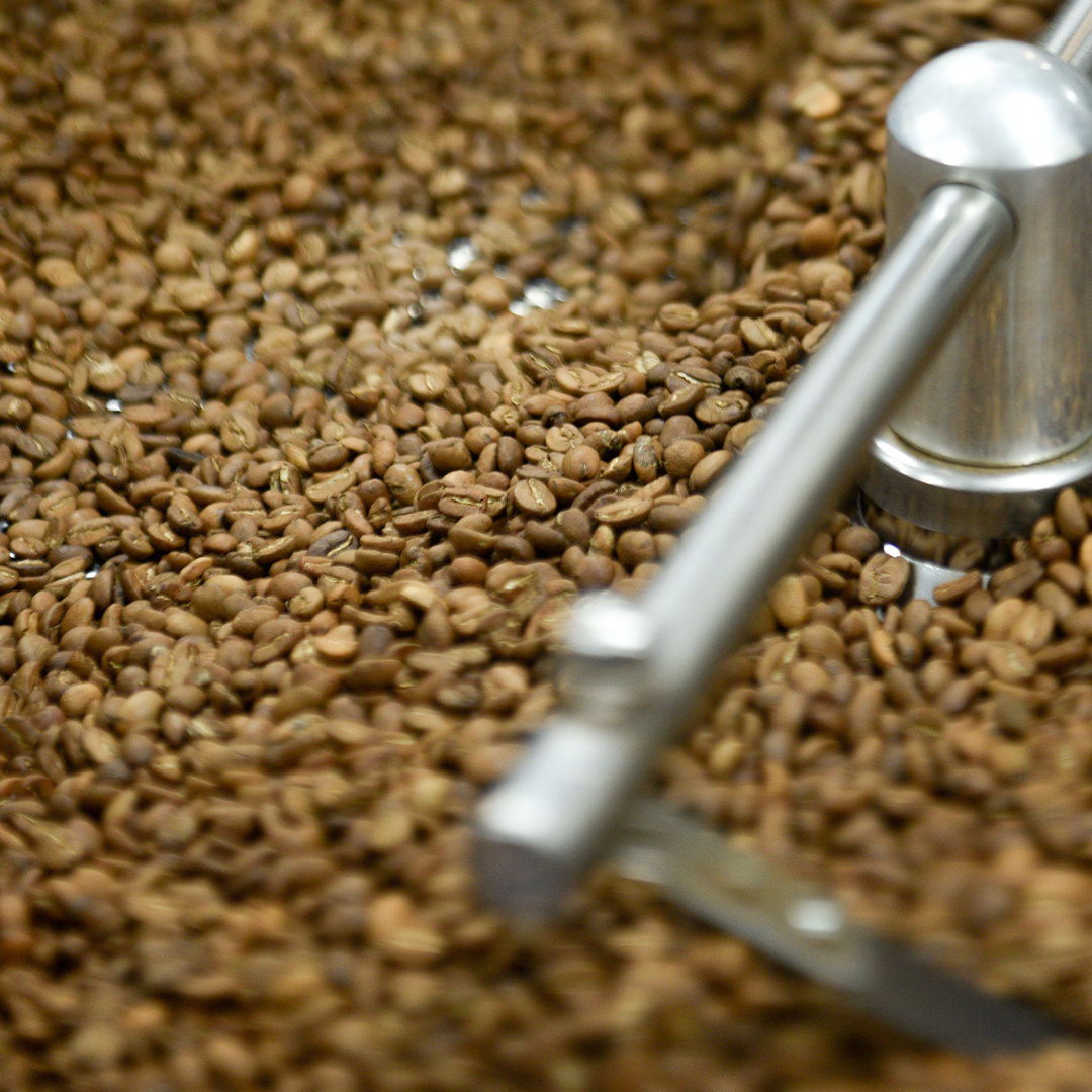 Close-up of coffee grounds from Kurd Coffee Catuai